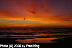 Sunrise, Assateague Island National Seashore, VA