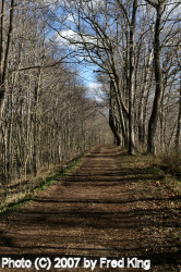 Winter Towpath near Seneca