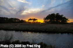 Chincoteague Sunset