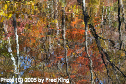 Reflections, C&O Canal