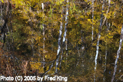 Reflections, C&O Canal, MD