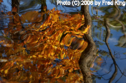 Reflections, Rocky Gap