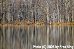 Winter Reflections, Lake Habeeb, Rocky Gap State Park, MD