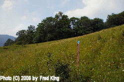 High Meadows Trail
