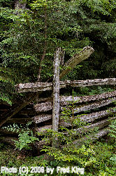 Fence along the Gatewood Trail