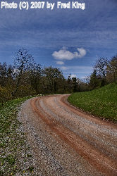 Forest Road