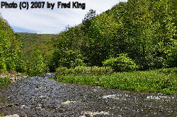 Gandy Creek