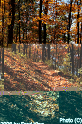Lake Trail, Rocky Gap State Park, MD