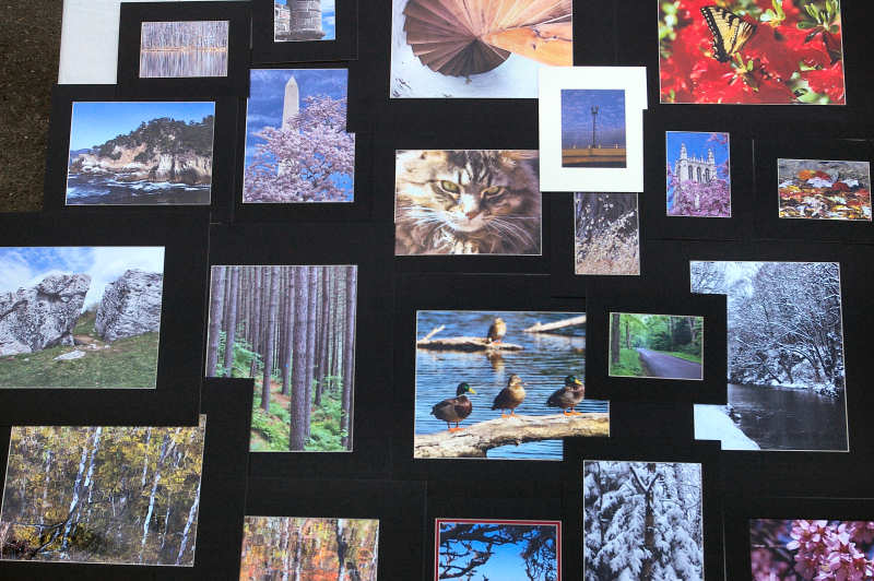 Prints Prints